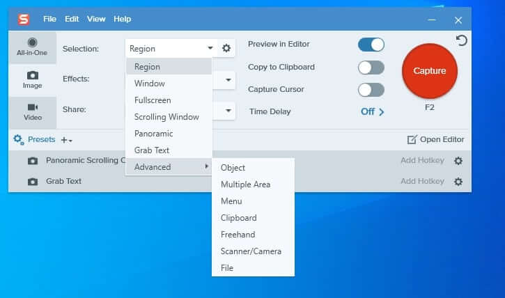 snagit for mac and windows